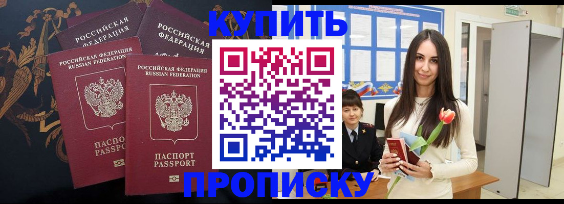 прописка гарантия в Луге